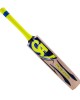 CA Sports Cricket Bat Plus 3000