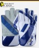 HS Sports 3 Star Wicket Keeping Gloves
