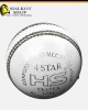 HS 4 Star Cricket Balls