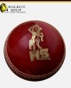 HS 3 Star Cricket Balls